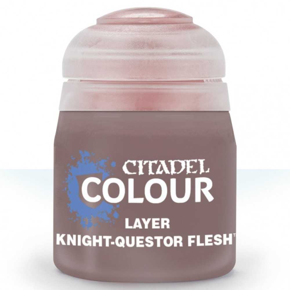 22 93 Layer: Knight Questor Flesh
