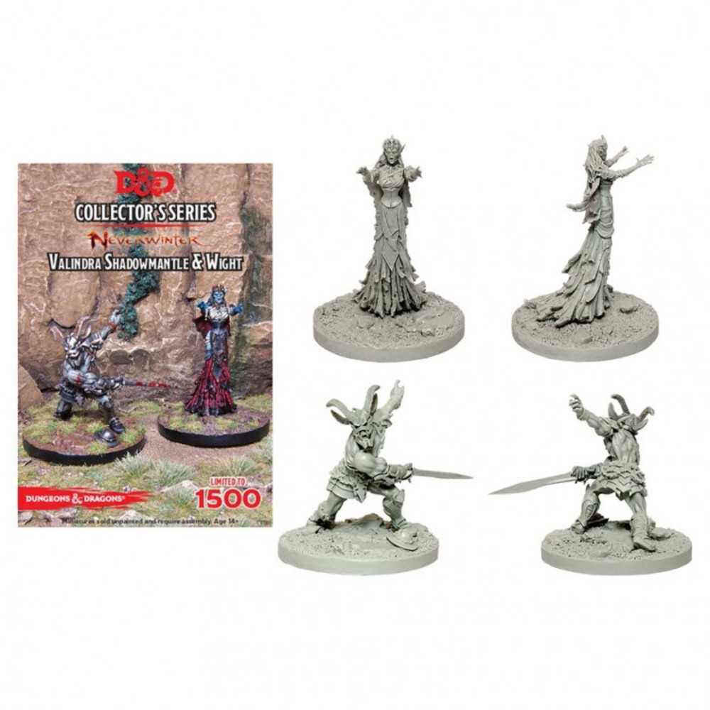 Dungeons & Dragons :Nwinter:Valindra Shadomantle & Wight