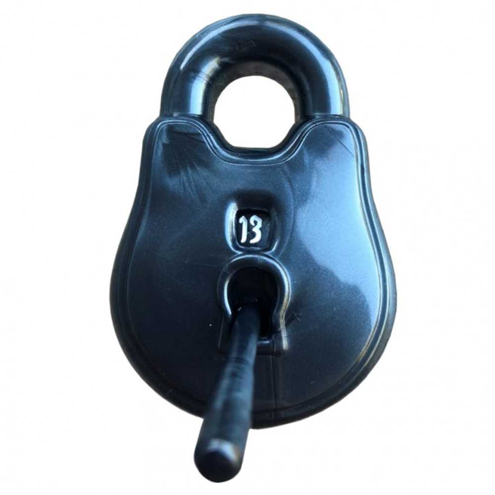 Dice: D20 Lock & Pick: Cold Iron/ Ice Wh
