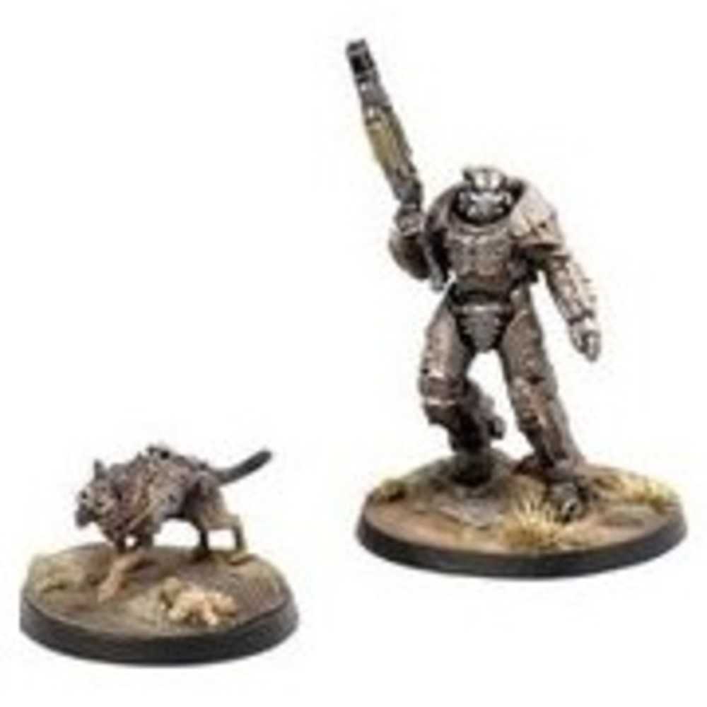 Fallout: Ww: X01 Survivor & Dogmeat