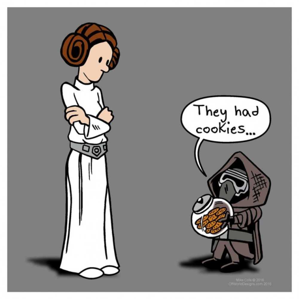 Darkside Cookies (L)