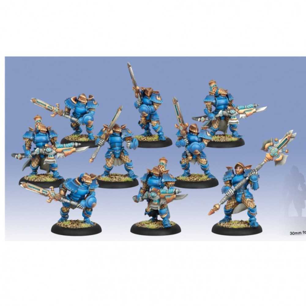 Wm: Cyg Stormblade Infantry (9)