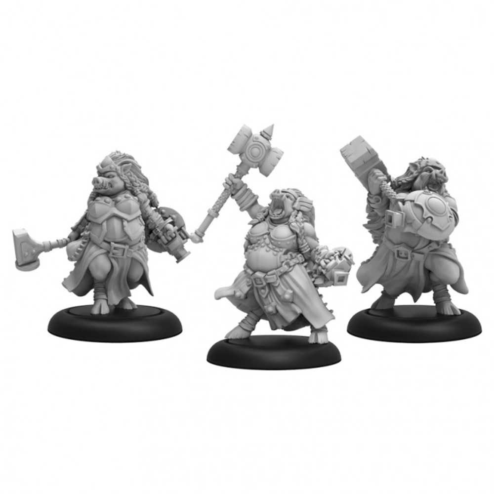 Hordes: Minion: Farrow Valkyries (3)