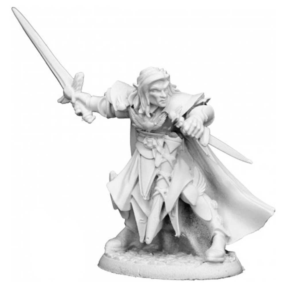 Dhl: Anduriel, Male Elf Paladin