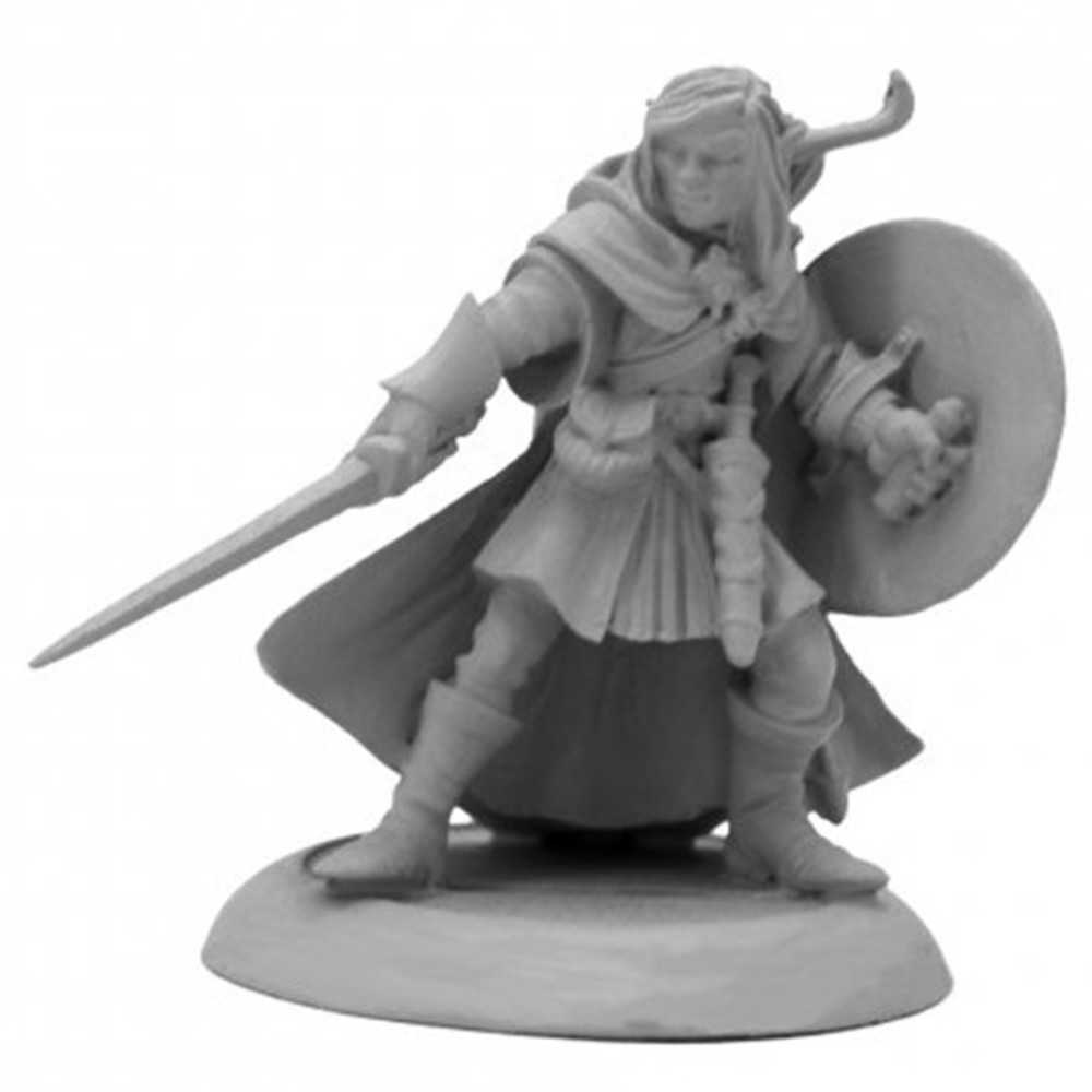 Dd: Elf Warrior