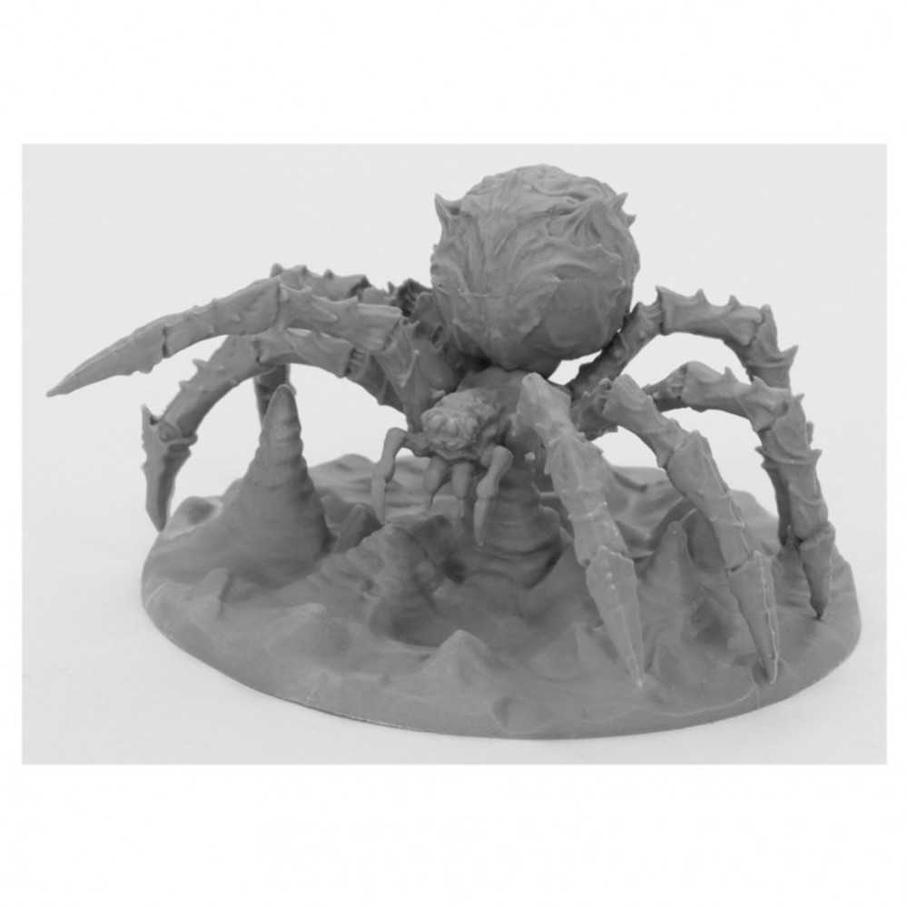 Bones Book: Cave Spider