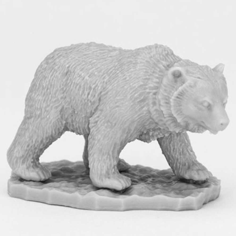 Bones Book: Cave Bear