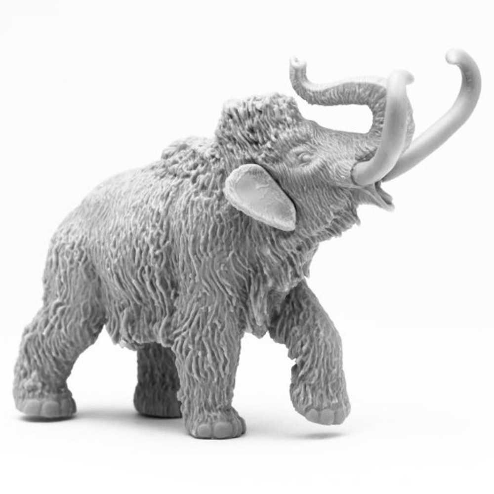 Bones Book: Pygmy Mammoth