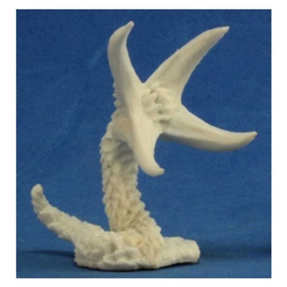 Bones: Chthon