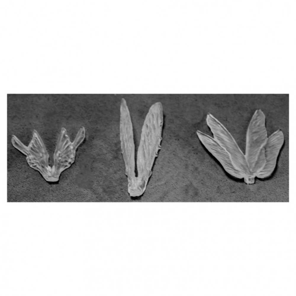 Bones: Clear Wings (3)