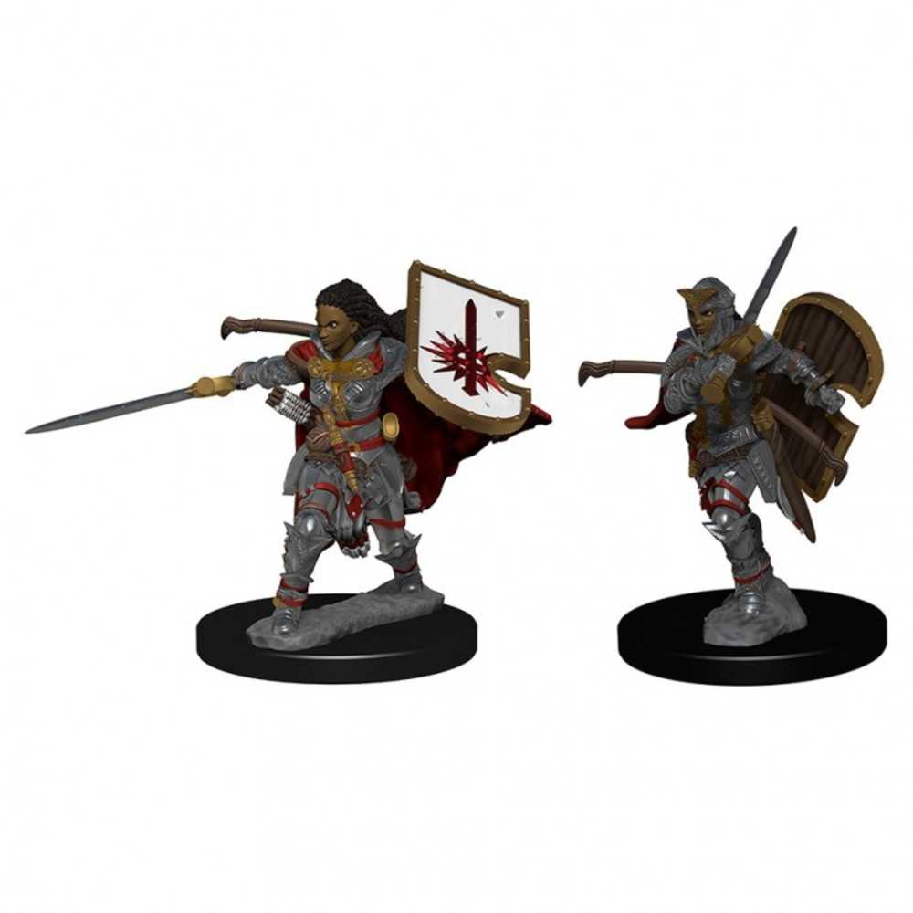 Pf DC: Human Female Paladin W1