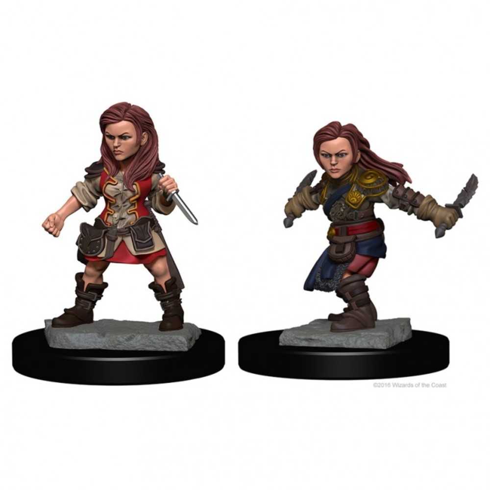Dungeons & Dragons : Nmu: Halfling Female Rogue W1