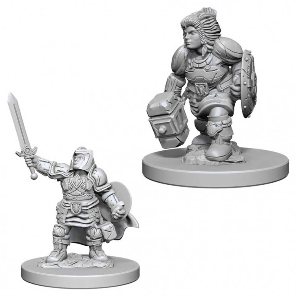 Dungeons & Dragons : Nmu: Dwarf Female Paladin W3