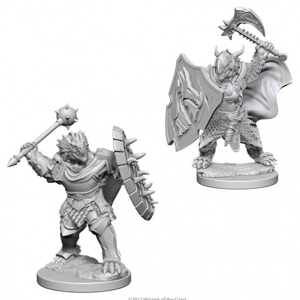 Dungeons & Dragons : Nmu: Dragonborn Male Paladin W4