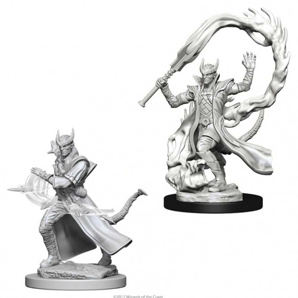 Dungeons & Dragons : Nmu: Tiefling Male Sorcerer W4