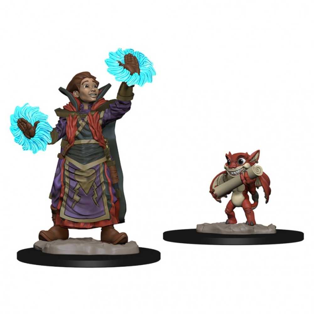 Wardlings: Boy Wizard & Imp