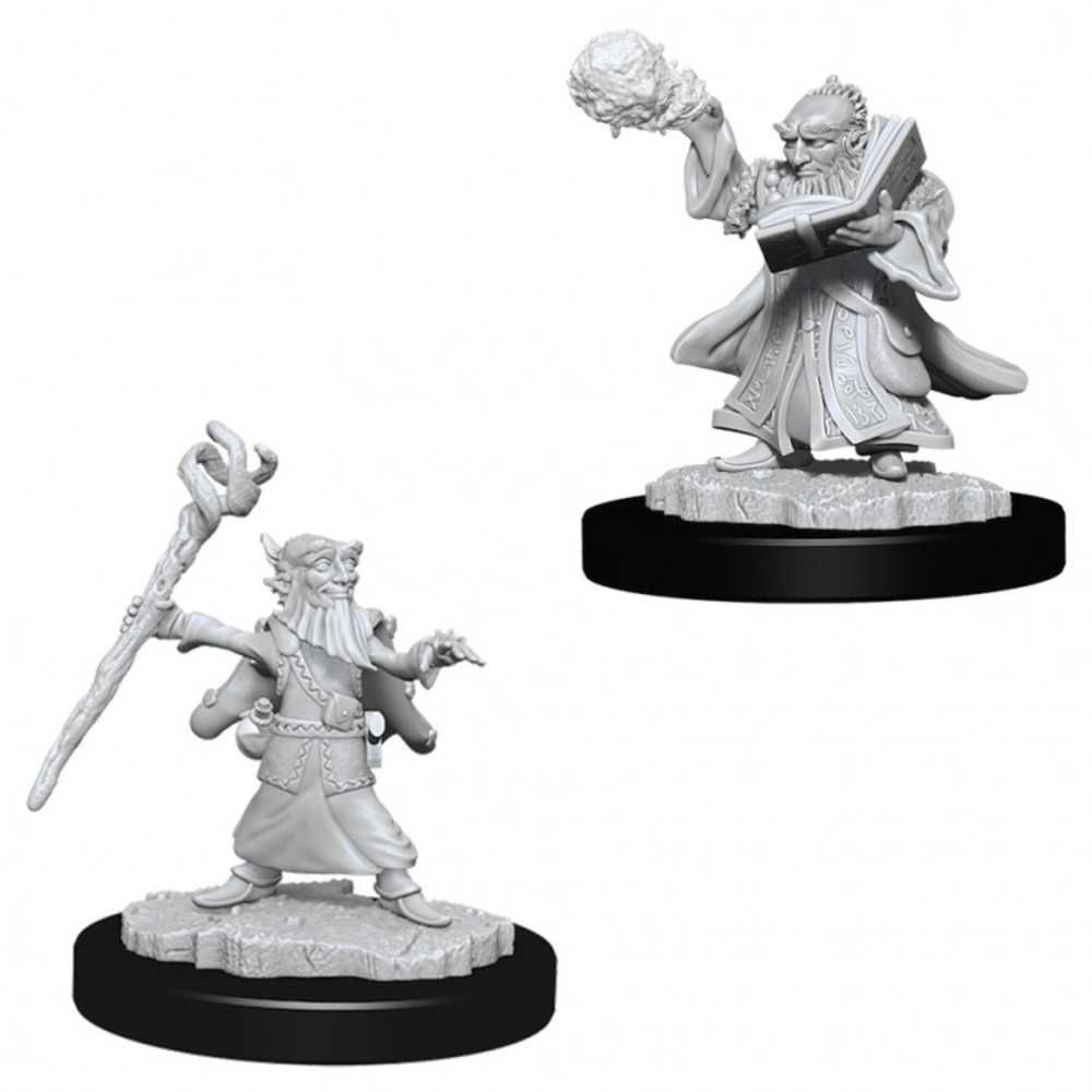 Dungeons & Dragons : Nmu: Male Gnome Wizard W6