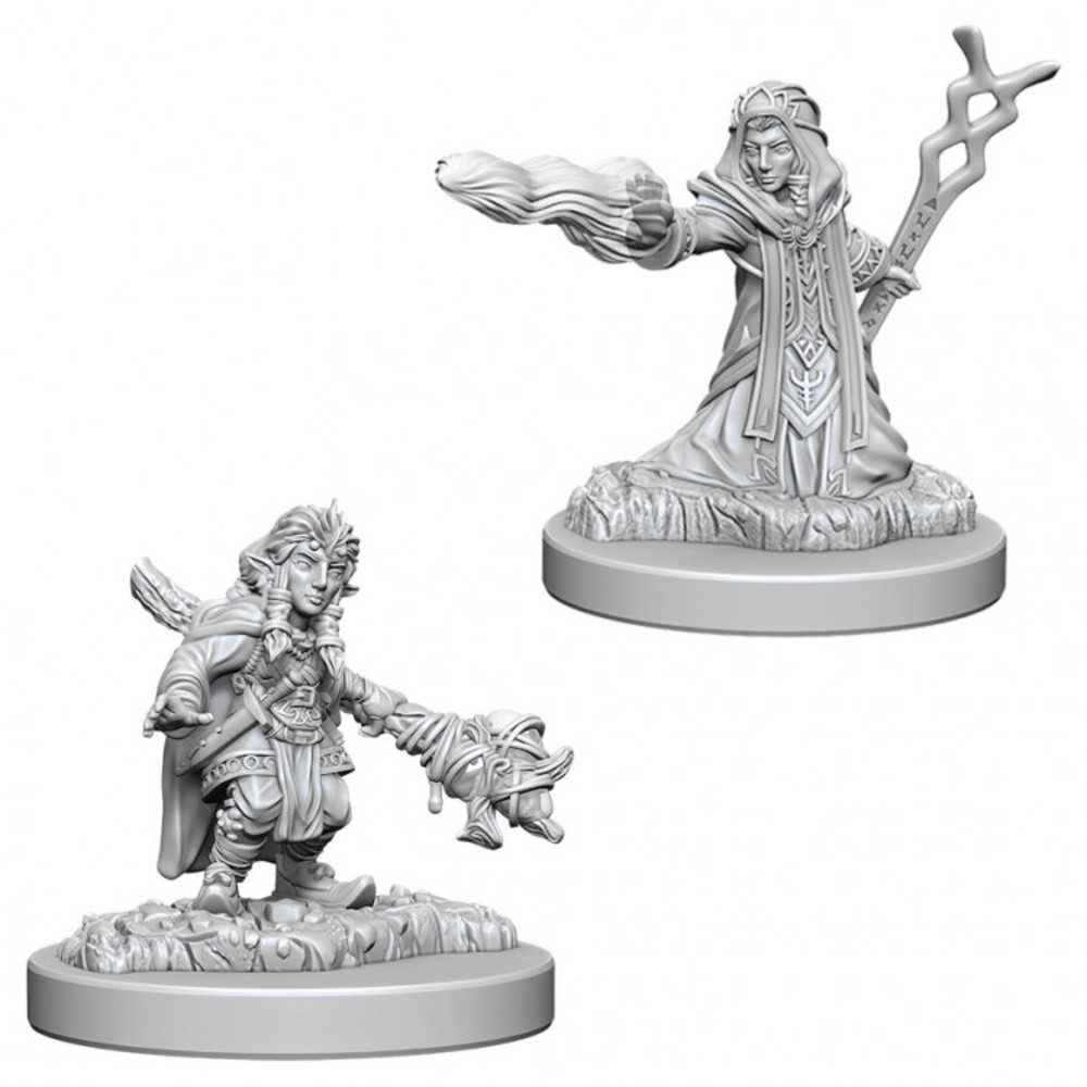 Dungeons & Dragons : Nmu: Female Gnome Wizard W6