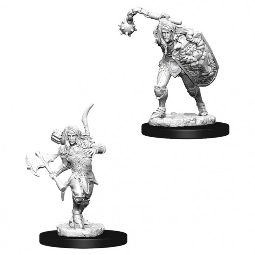 Pf DC: Male Elf Fighter W6