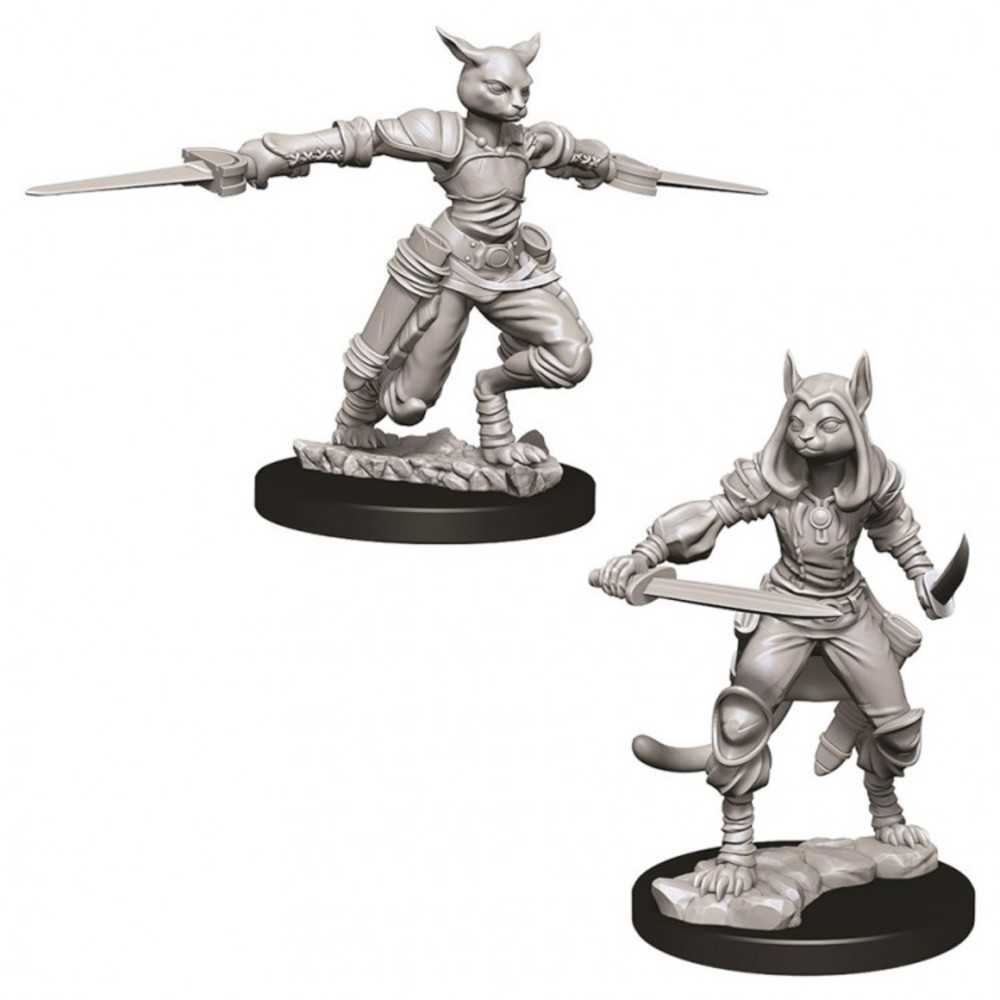 Dungeons & Dragons : Nmu: Female Tabaxi Rogue W9