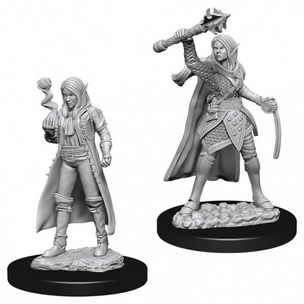 Dungeons & Dragons : Nmu: Female Elf Cleric W10