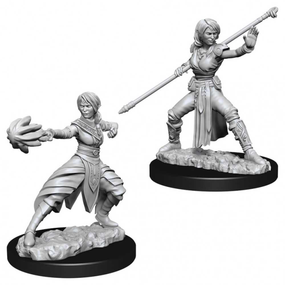 Dungeons & Dragons : Nmu: Female Half Elf Monk W10