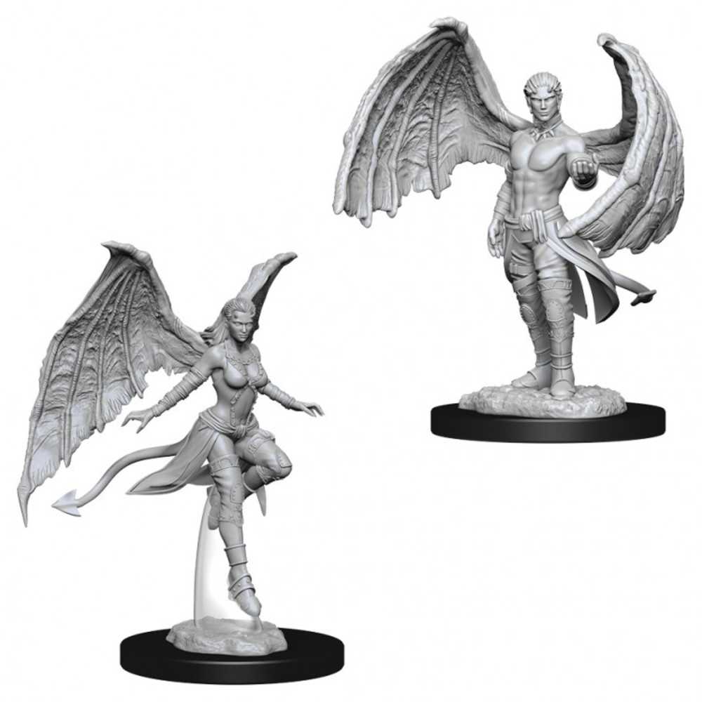 Dungeons & Dragons : Nmu: Succubus & Incubus W10