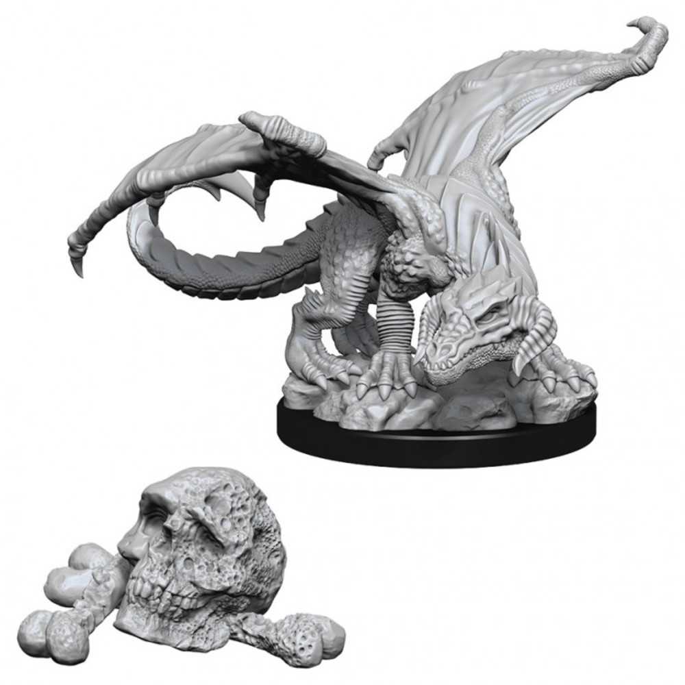 Dungeons & Dragons : Nmu: Black Dragon Wyrmling W10