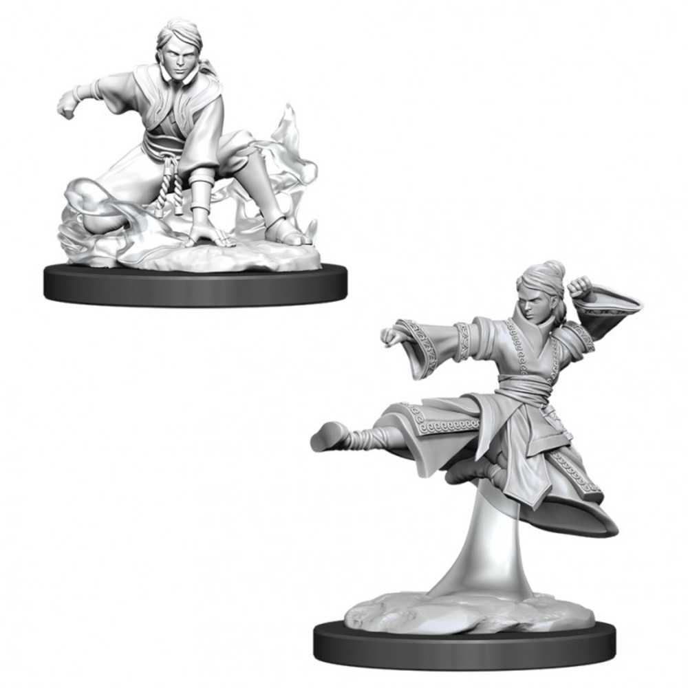 Dungeons & Dragons : Nmu: Female Human Monk W11