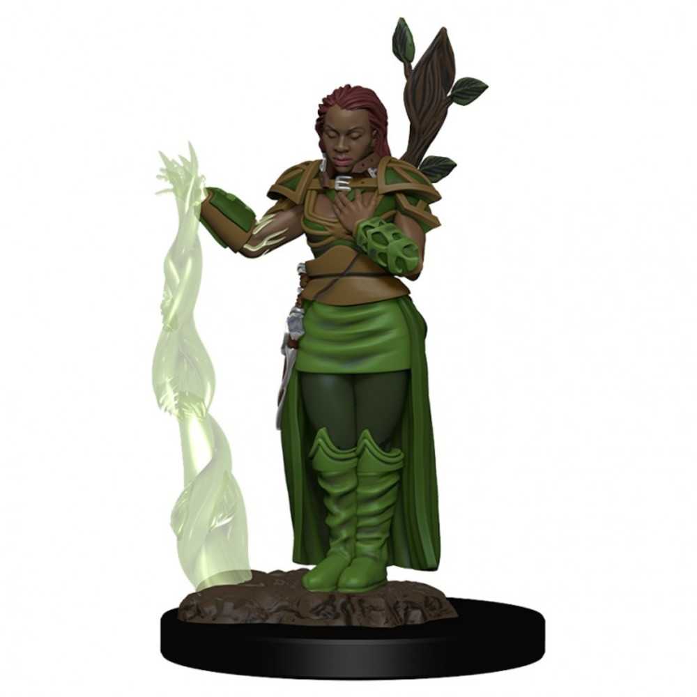 Dungeons & Dragons : Ir: Prem: Human Female Druid
