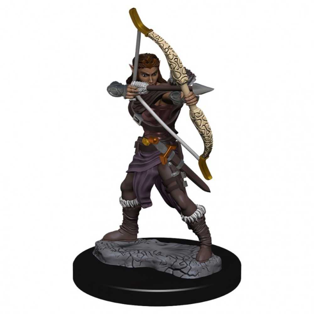 Dungeons & Dragons : Ir: Prem: Female Elf Ranger