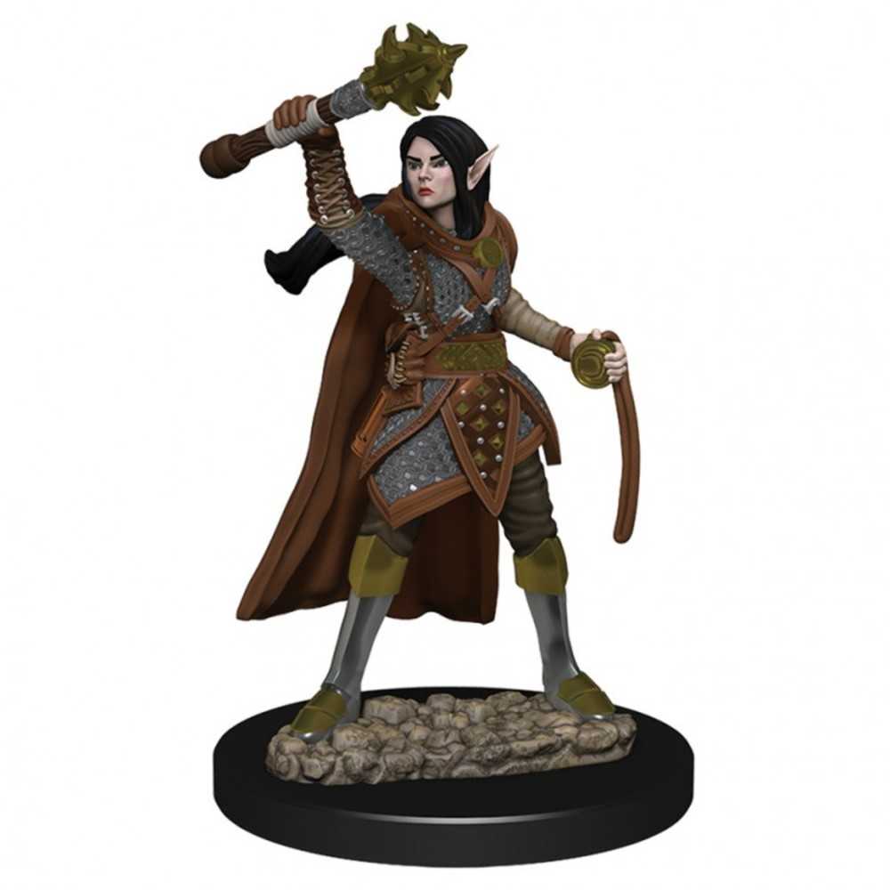 Dungeons & Dragons : Ir: Prem: Female Elf Cleric