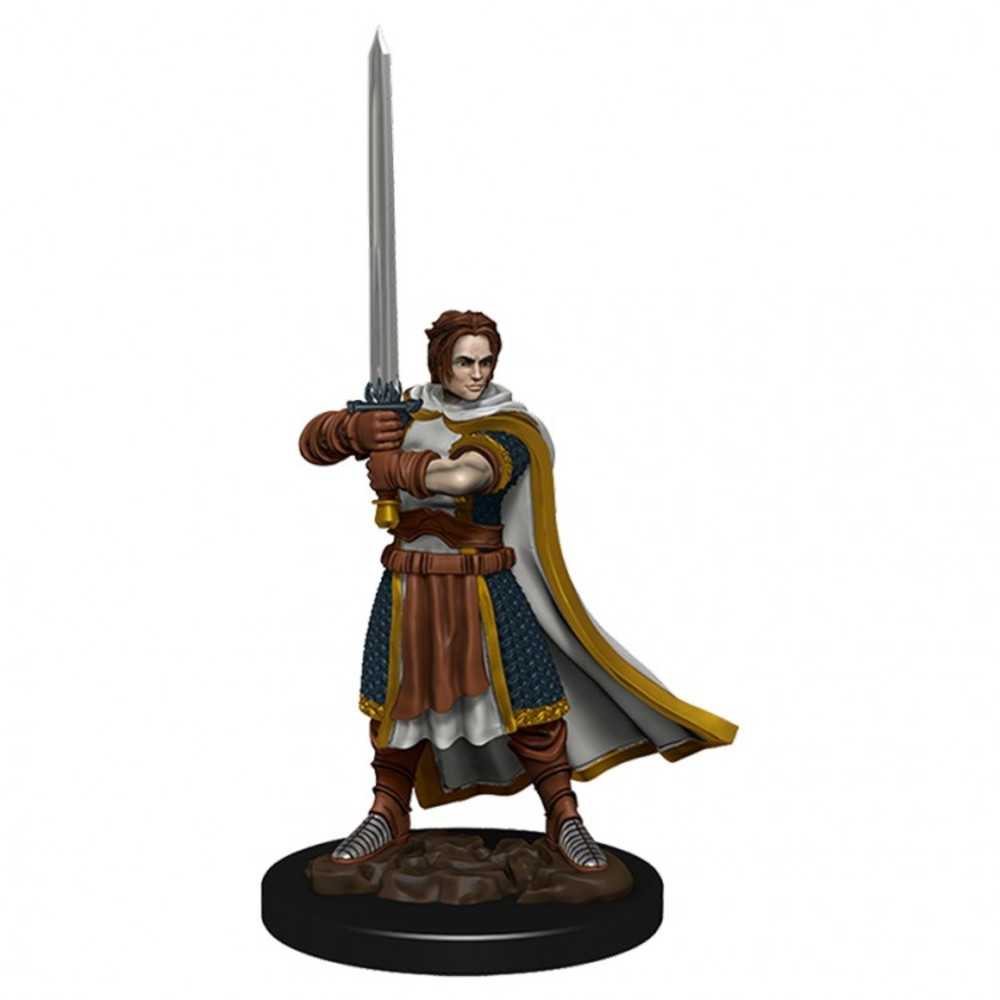 Dungeons & Dragons : Ir: Prem: Human Cleric Male