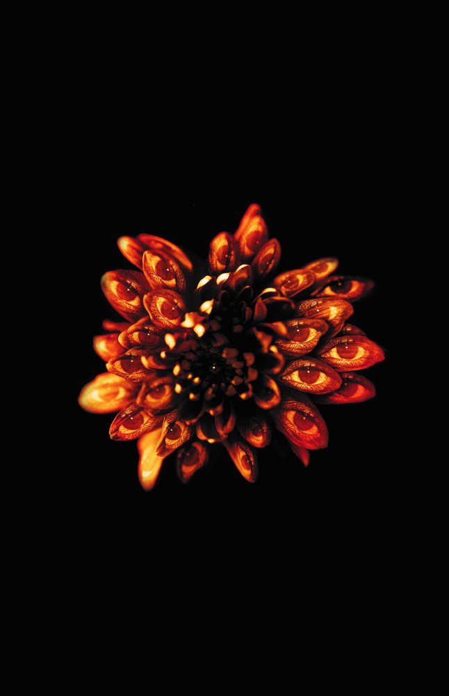 Annotated Sandman Hardcover Volume 03 (Mature)