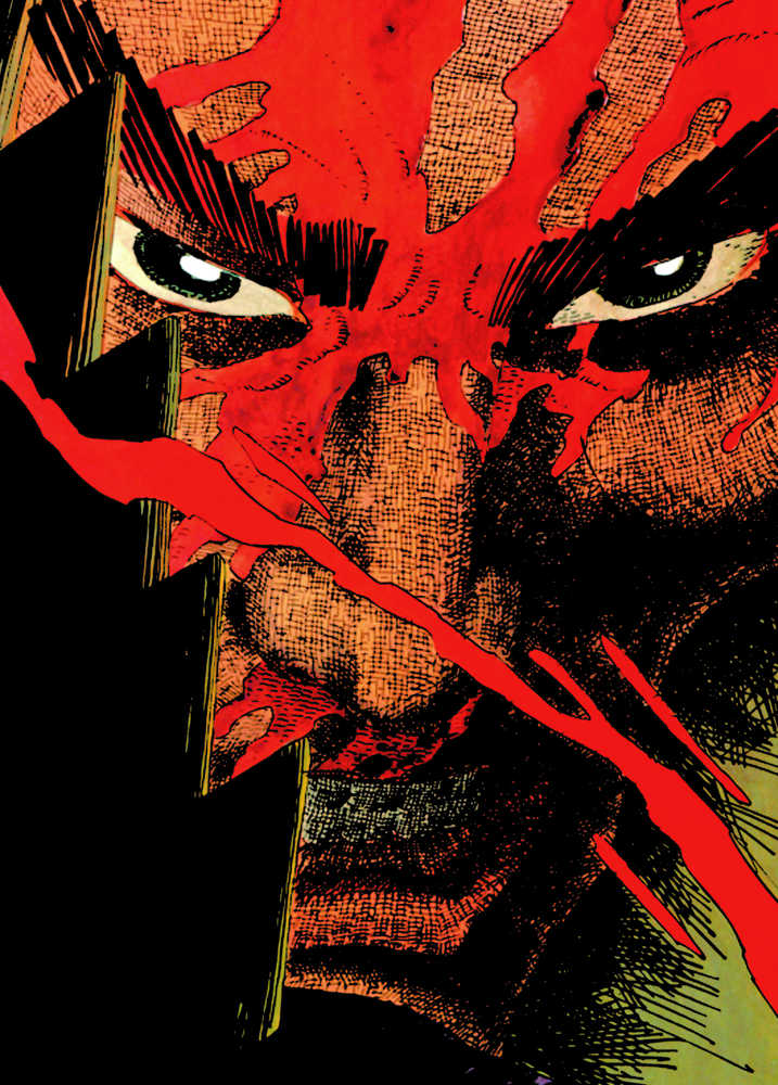 Ronin Deluxe Edition Hardcover