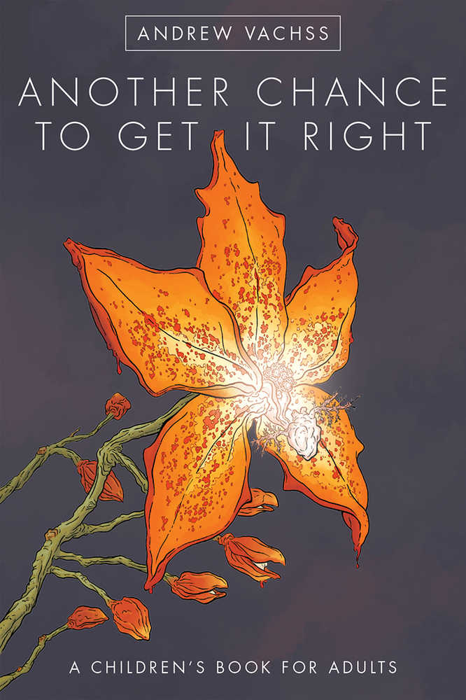 Another Chance To Get It Right Hardcover Fourth Edition 