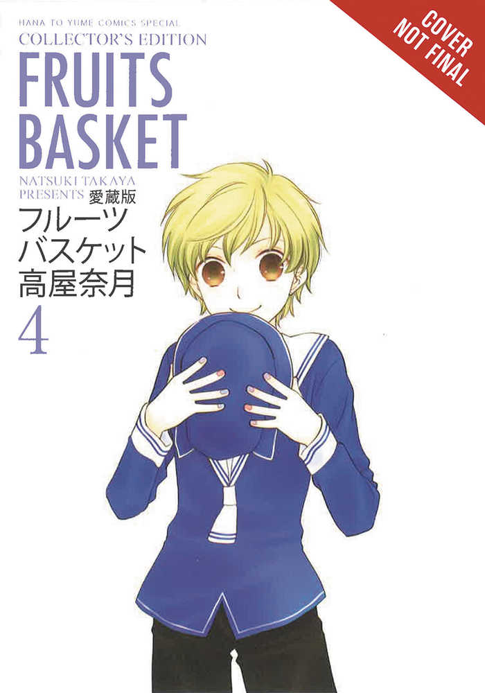 Fruits Basket Collectors Edition TPB Volume 04 