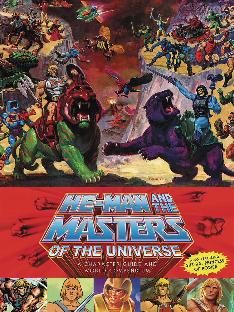 He Man Masters Universe Hardcover Character Guide World 