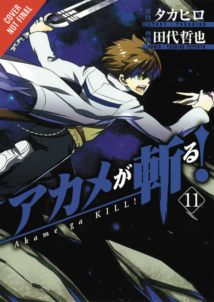 Akame Ga Kill Graphic Novel Volume 11 
