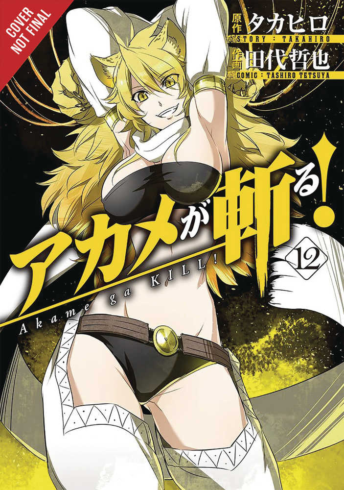 Akame Ga Kill Graphic Novel Volume 12 