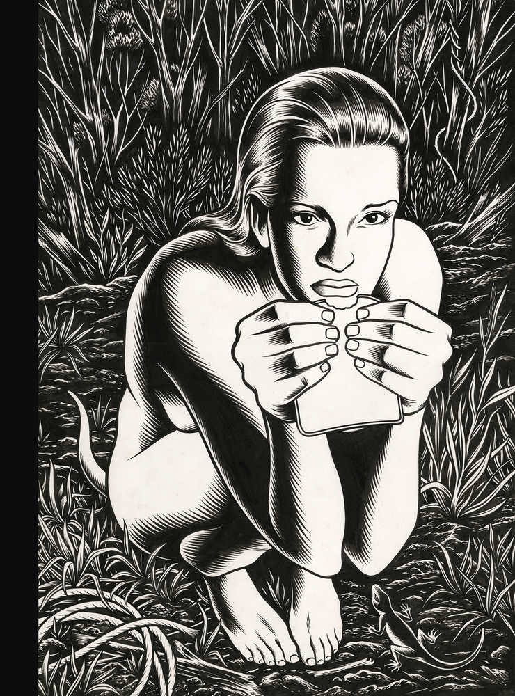 Fantagraphics Studio Edition Hardcover Charles Burns Black Hole 