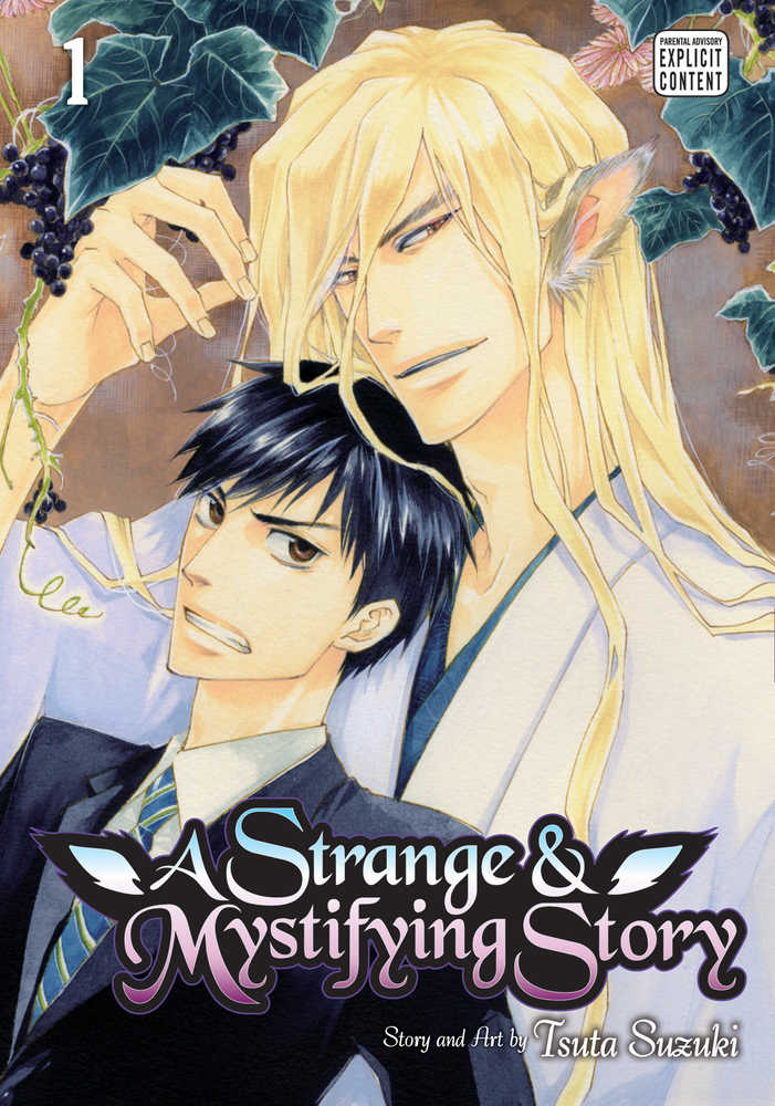 Strange & Mystifying Story Graphic Novel Volume 01 (Mature) 