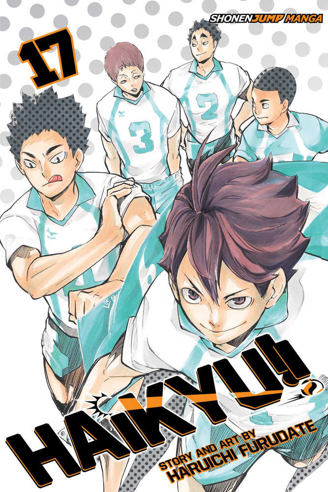 Haikyu Graphic Novel Volume 17 