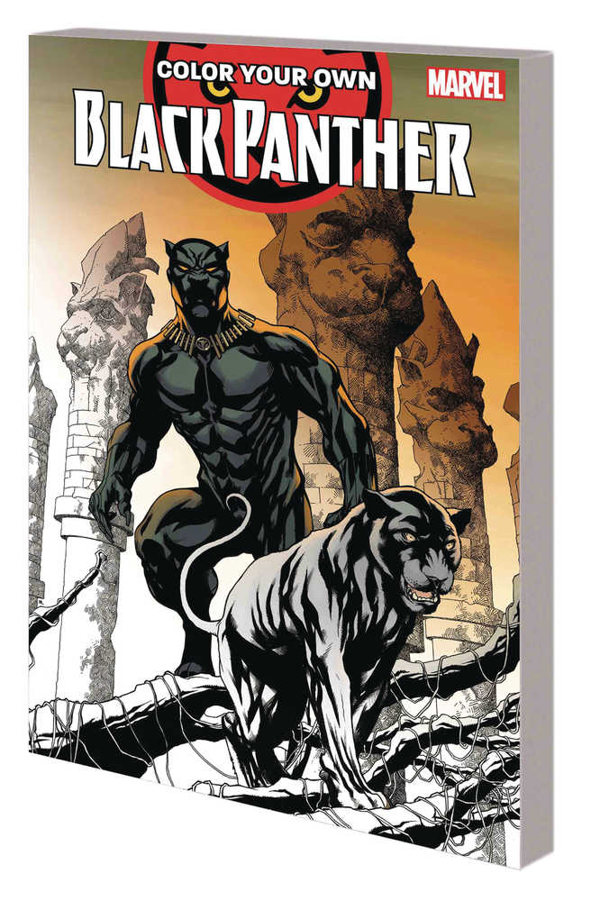 Color Your Own Black Panther TPB