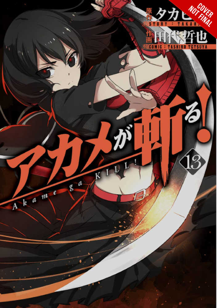 Akame Ga Kill Graphic Novel Volume 13 