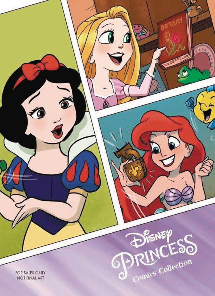 Disney Princess Comics Collector's Dream Big Princess Edition TPB 