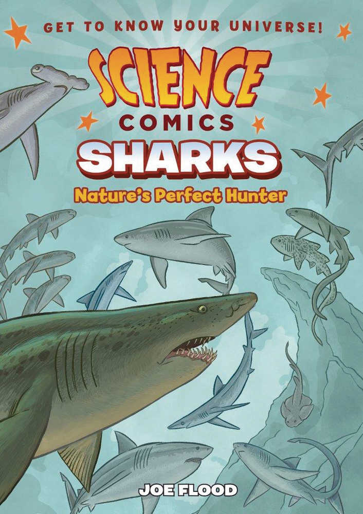 Science Comics Sharks Graphic Novel 