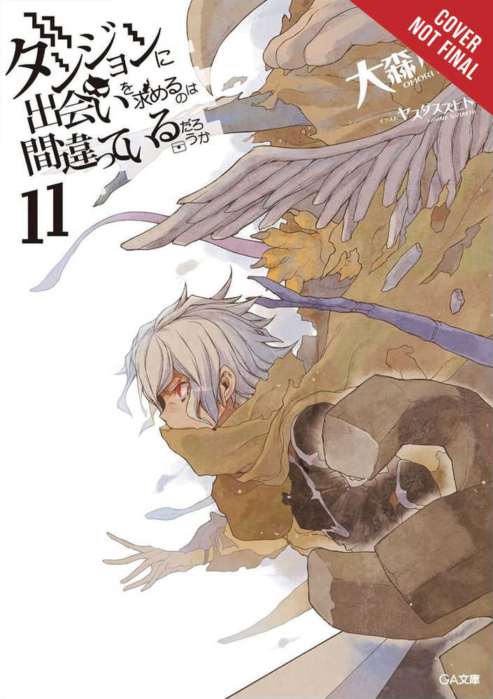 Is Wrong Pick Up Girls Dungeon Novel Volume 11 
