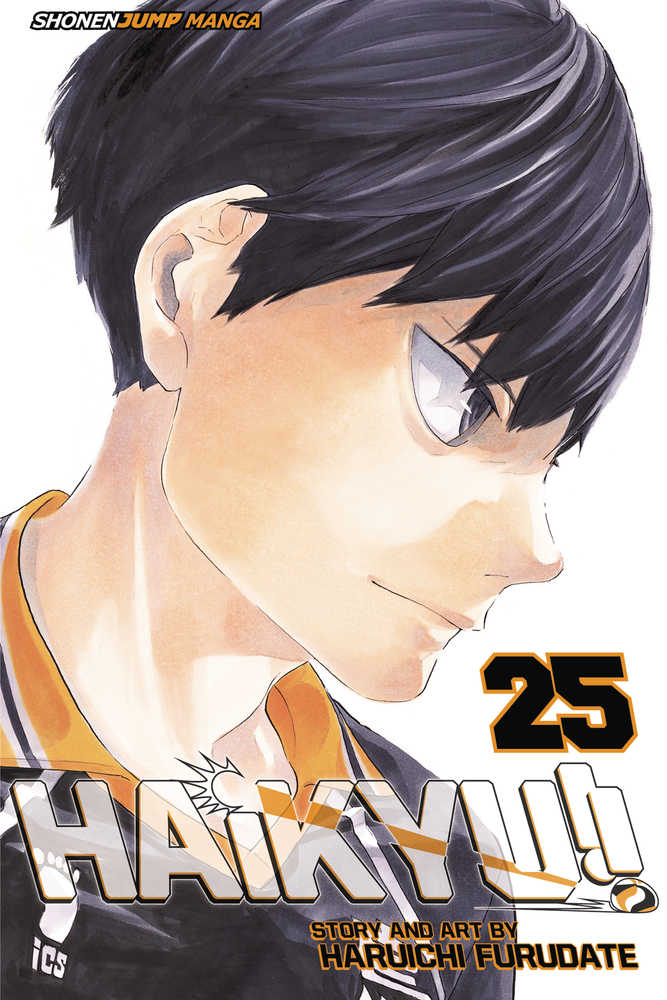 Haikyu Graphic Novel Volume 25