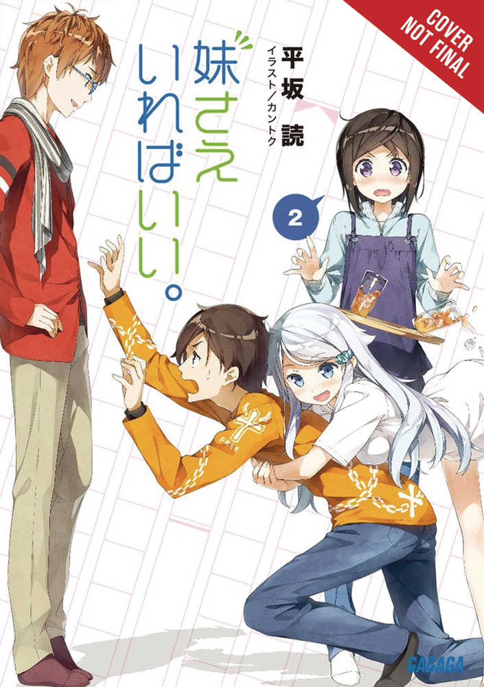 Sisters All You Need Light Novel Softcover Volume 02 